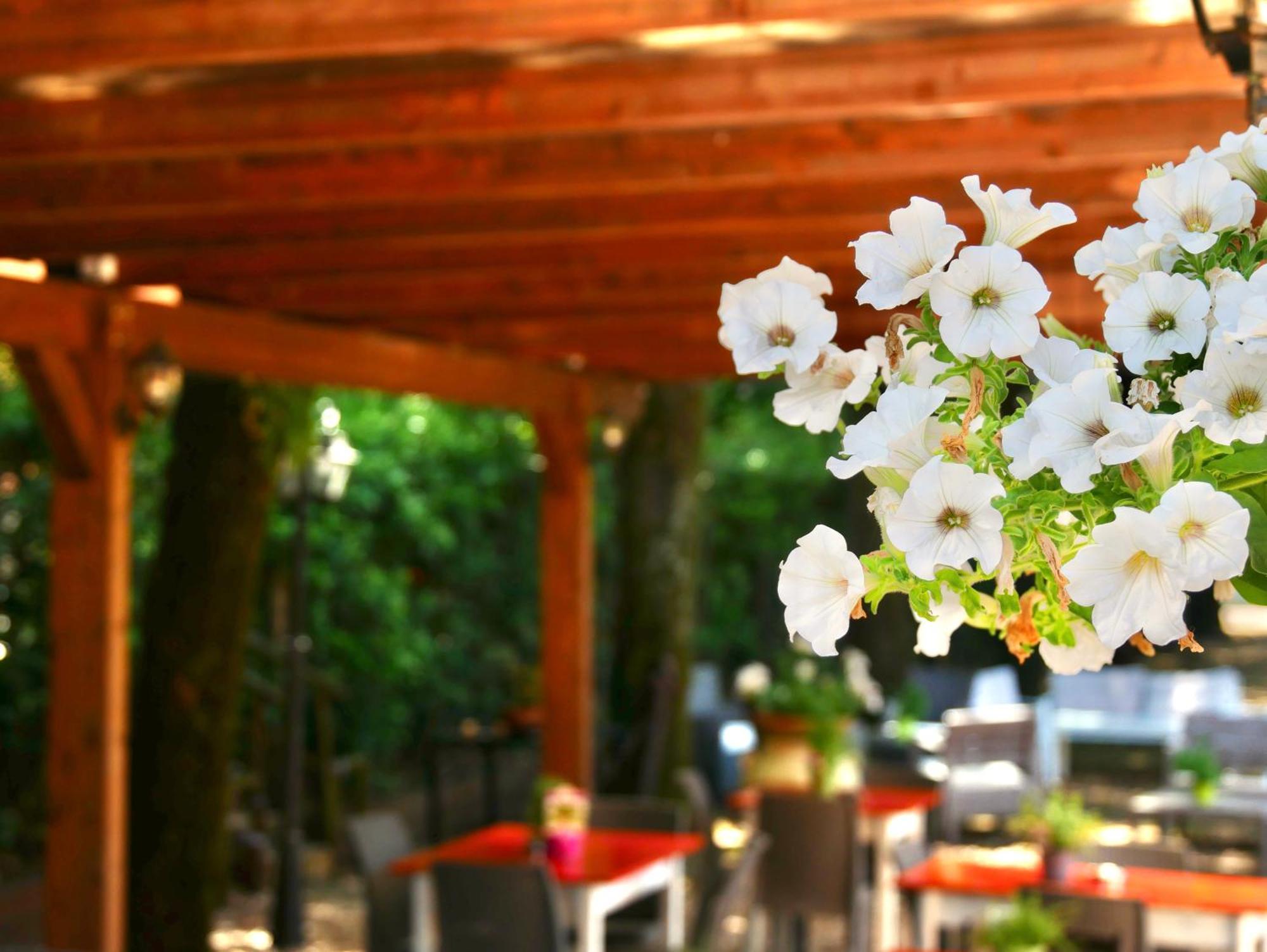 Bed and Breakfast L'Antico Granaio Paliano Exterior foto