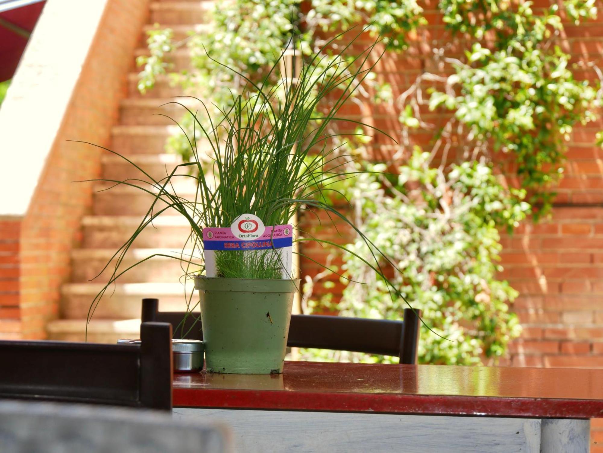 Bed and Breakfast L'Antico Granaio Paliano Exterior foto